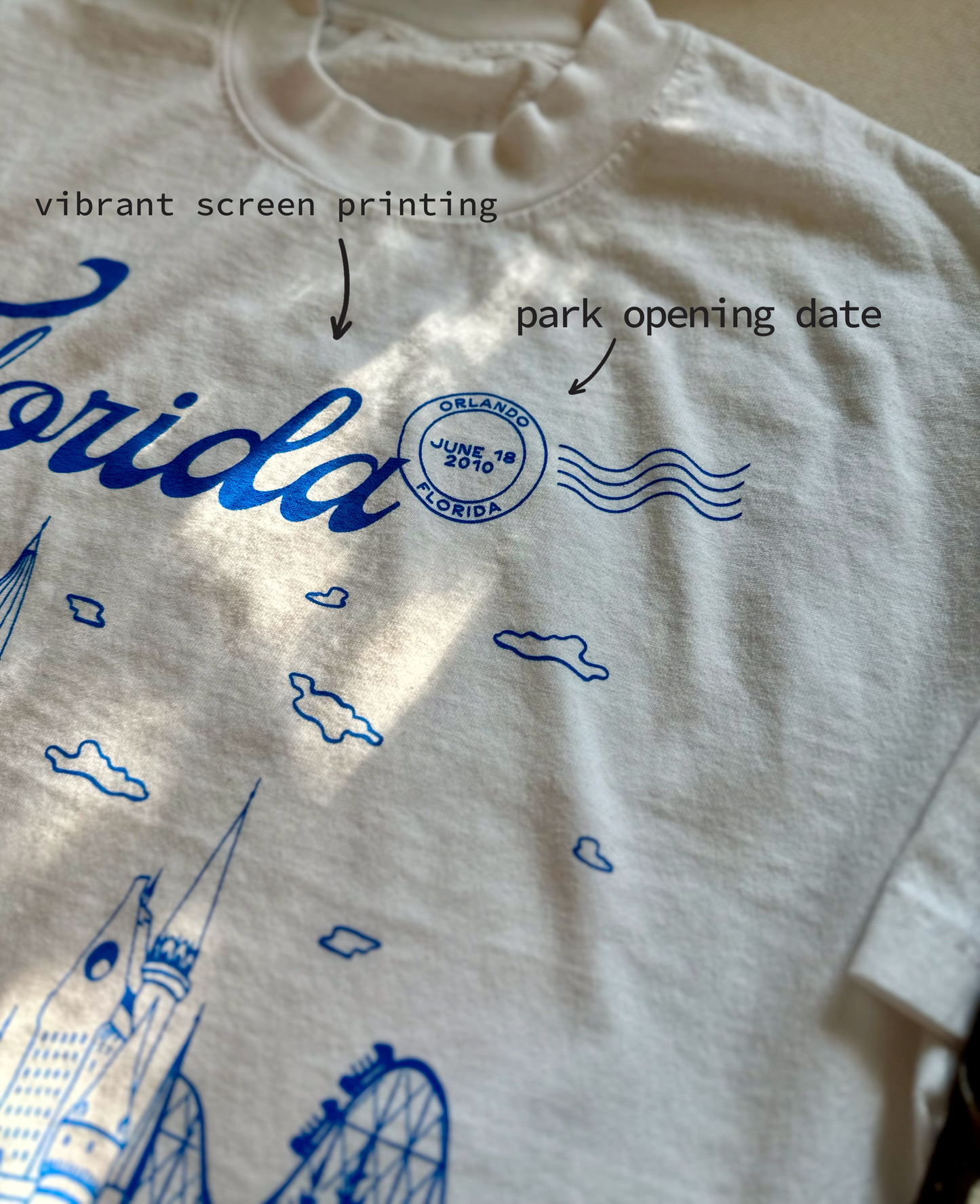 Florida Wizarding Parks Tee. A person at the Wizarding World of Harry Potter wears a t-shirt that depicts theme park. The t-shirt also references Taylor Swift's song "Florida!!!"