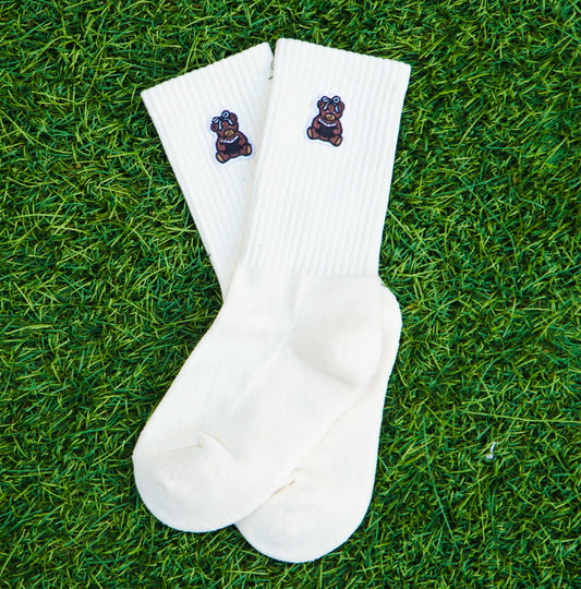 Book Bear Socks