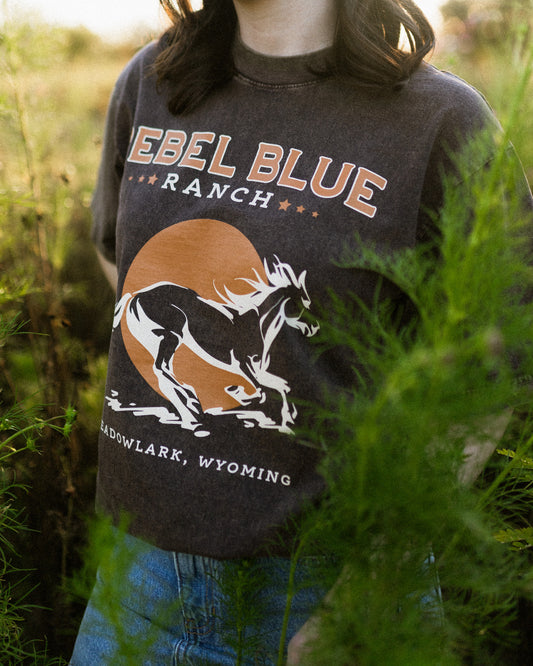 A woman wears a mineral wash brown Rebel Blue Ranch t-shirt inspired by the Lyla Sage book series that includes Done and Dusted, Swift and Saddled, and Lost and Lassoed. The tee has a horse on the front as well as Meadowlark, Wyoming. 