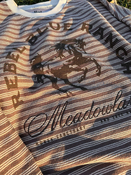 Rebel Blue Ranch striped knit pullover with a screen printed and embroidered rustic horse design. Inspired by the cowboy romance book series and officially licensed by Lyla Sage.