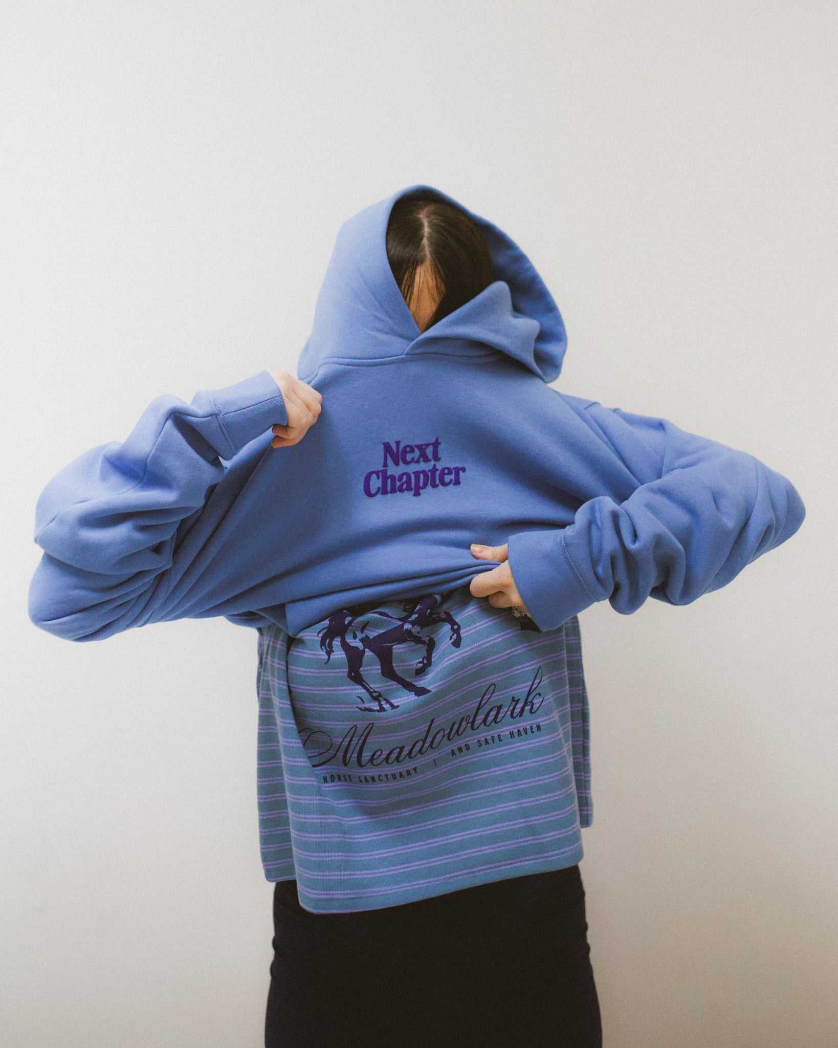 Person wearing a blue Next Chapter hoodie with 'Next Chapter' puff print text on the back against a plain background. Next Chapter is a bookish small business that offers officially licensed book merch, including Rachel Gillig merch and Lyla Sage merch.