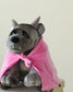 Bartholomew Gargoyle plush in dark gray fabric with textured horns, toothy smile, and a bright pink cloak