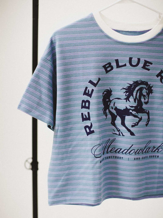 Rebel Blue Ranch Striped Boxy Tee with baby blue fabric and a navy blue design. Officially Licensed Lyla Sage merch. Rebel Blue Ranch merch. Next Chapter book merch.